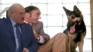 Лукашенко не прощает, когда над ним смеются