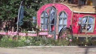 Дождались солнца! Зимняя погода в Лазаревском 23 января 2016