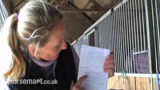 Dressage: What is impulsion?