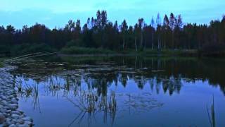 Тихий Берег