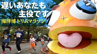 遅いあなたも主役です！ 海洋博トリムマラソン 4251人が完走★