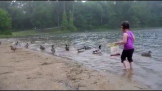 Lake Lessons Part 2