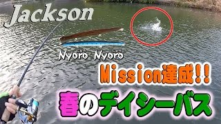 春のデイシーバス【JacksonからのMissionが『にょろにょろ』っとやってきた】#2