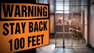 10 Most Dangerous SCP Creatures You've Never Heard Of