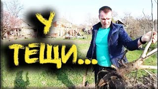 ?? У тещи в гостях.... Пропажа и поиски телефона! Закопали??? ☎️