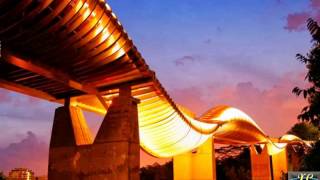 Henderson Waves Bridge  - Singapore