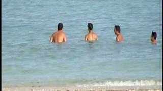 judilla- beach boys gone wild