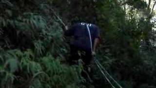 Selva - Rapel