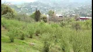 16 04 2021 с Квирике видео სულხან ნიჟარაძე Аджария Грузия