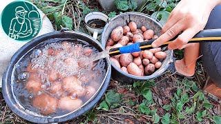 ???? Можно ли мыть картошку перед хранением Хранение картофеля Опыт Гордеевых