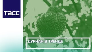 Дуриан в тренде