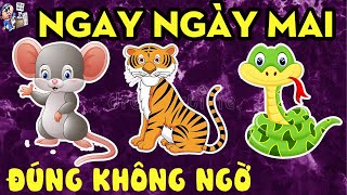 TỬ VI HÀNG NGÀY, 3 CON GIÁP ĐƯỢC TIẾT LỘ THIÊN CƠ, CẢI VẬN PHÁT TÀI, VÀO NGAY NGÀY MAI