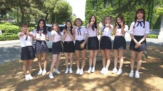 MOMOLAND(모모랜드)의 ‘어마어마’한 밀착 동행기 (ASMR, Flashmob, Wonderful Love,  어마어마해)