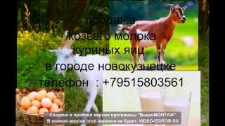 молоко козье продажа