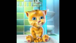 Кот ( сюда смотри-ка )