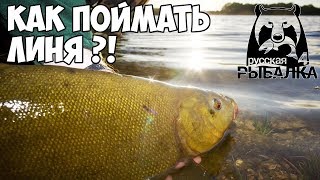 Русская Рыбалка 4 - На рыбалку за линём! На что и где ловить трофейную рыбу?