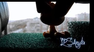 LPS: Outdoors серия 5