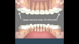 بزوغ الاسنان د/ احمد جاد....TOOTH ERUPTION FOR DENTISTS.......