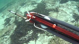 MARM - Pesca Submarina - nuevo roller 95cm
