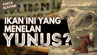 #FaktaAlkitab - IKAN INI YANG MENELAN YUNUS?