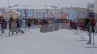 "Volga Quest" в Ульяновске