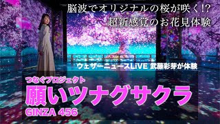 武藤彩芽が体験！脳波でオリジナルの桜が咲かせる超新感覚のお花見体験／GINZA 456 Created by KDDI