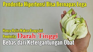 HANYA RUTIN PAKAI BUNGA TURI, JANGAN HERAN JIKA TIDAK PERNAH KELUAR UANG LAGI UNTUK BIAYA KE DOKTER