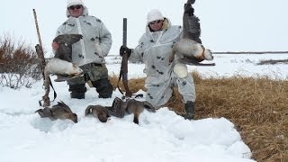 Северный рецепт