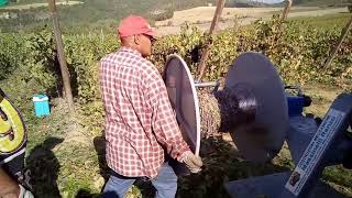 Avvolgi filo per vigneti