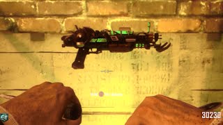 Black Ops 2 Ray Gun Mark 2 EVERY TIME GLITCH!