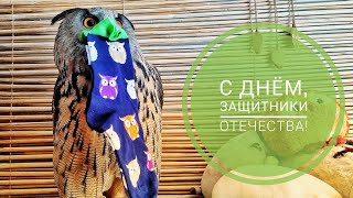 Сова Ёль поздравляет! Соверма Юйня негодует, что без неё. С Днём Защитника Отечества!