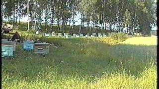 Пчеловодство - Зотов В.И._01_1
