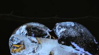 Русские морозы Magic Ice Timelapse