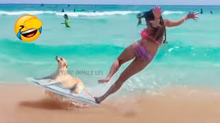 Best Funny Animal Videos 2022 - Funniest Dogs And Cats Videos