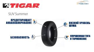 Tigar Suv Summer