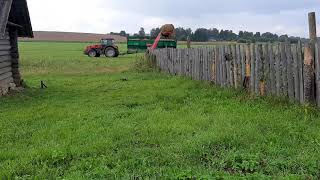 Мтз 3522 с прицепом ПС 60А  и телескопический погрузчик MANITOU