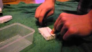 DIY Floating Fry Trap