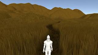 DX11 grass trampling