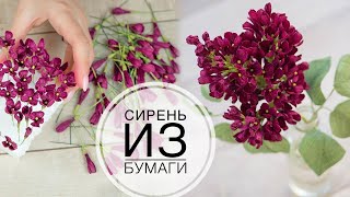 Сирень из бумаги как НАСТОЯЩАЯ / DIY TSVORIC