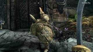 Skyrim Hidden Argonian follower