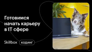 Как составить резюме программисту? Интенсив по программированию