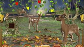 Lost in the Forest Walkthrough [Hidden247]