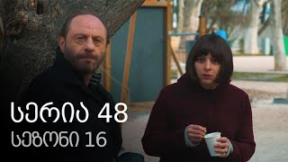 ჩემი ცოლის დაქალები - სერია 48 (სეზონი 16)