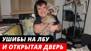 Причина смерти Анны Кастельянос из Little Big