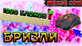 1000 БЛОКОВ БРИЗЛИ БРИДЖ + МАУС КАМ | Мировой рекорд