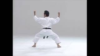 林派糸東流空手道形マスター！ジッテ・ジイン・ハッカクkaratedo