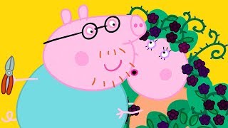 Peppa Pig Official Channel | the Handsome Prince Daddy Pig Rescues Mummy Pig