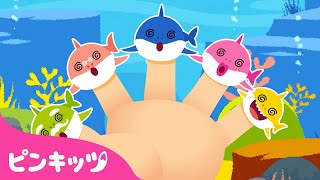サメのかぞくと指のうた | チビザメのゆび遊び | ベイビーシャーク | 人気童謡 | ピンキッツ! 童謡と子どもの動画