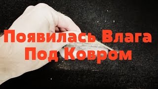 FORD FOCUS 3 Влага Под Ковром