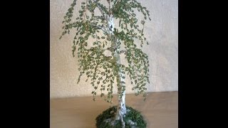Березка из бисера МК. Birch Bead MC.